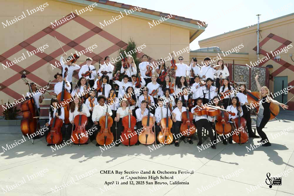 Musical Images